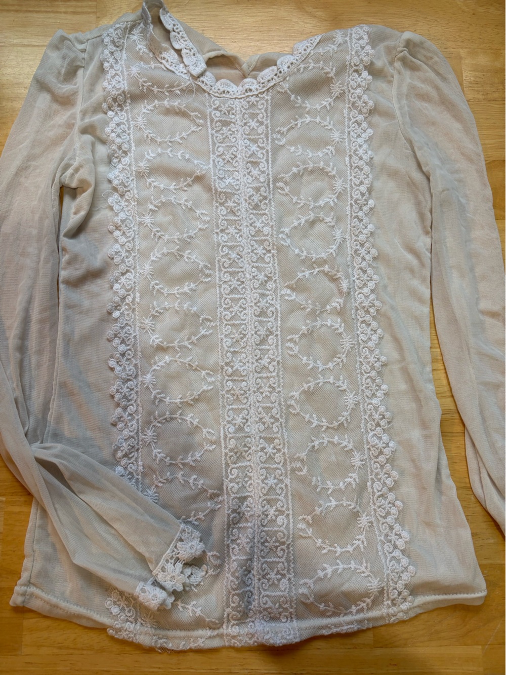 Sheer Embroidered Long Sleeve Chemise in Ivory has some stretch